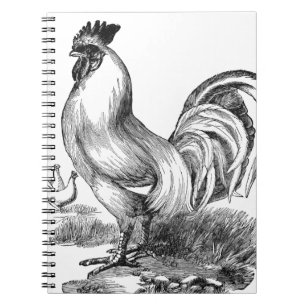 Vintage rooster illustration spiral notebook