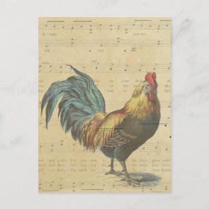 Vintage Rooster Sheet Music Notes Rustic Country Postcard