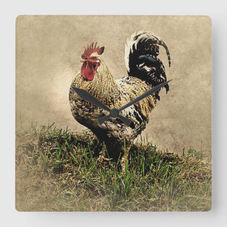 Vintage Rooster Square Wall Clock