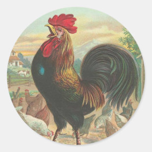 Vintage Rooster Stickers