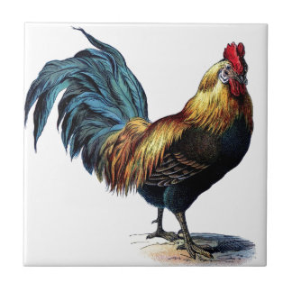 Vintage Rooster Tile