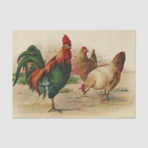 Vintage roosters and hens party tissue paper