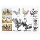 Vintage Roosters Hens Farm Decoupage Collage
