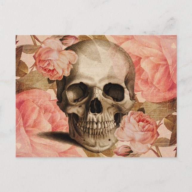 Vintage Rosa Skull Collage Postcard (Front)