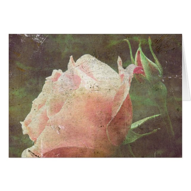 Vintage Rose (Front Horizontal)