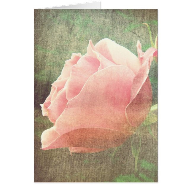 Vintage Rose (Front)