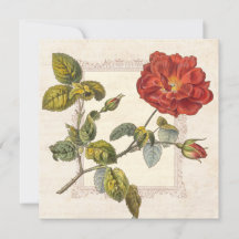 Vintage Rose Botanical Birthday Garden Party