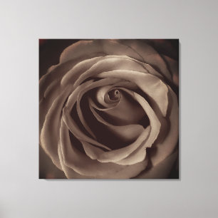 Vintage Rose Canvas Print