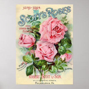 Vintage Rose Flower Catalogue Cover Illustration Poster