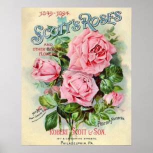 Vintage Rose Flower Catalogue Cover Illustration Poster