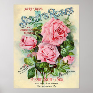 Vintage Rose Flower Catalogue Cover Illustration Poster