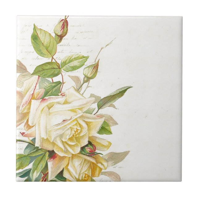 Vintage Rose Flower Floral Pattern Tile (Front)