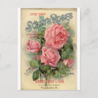 Vintage Rose
