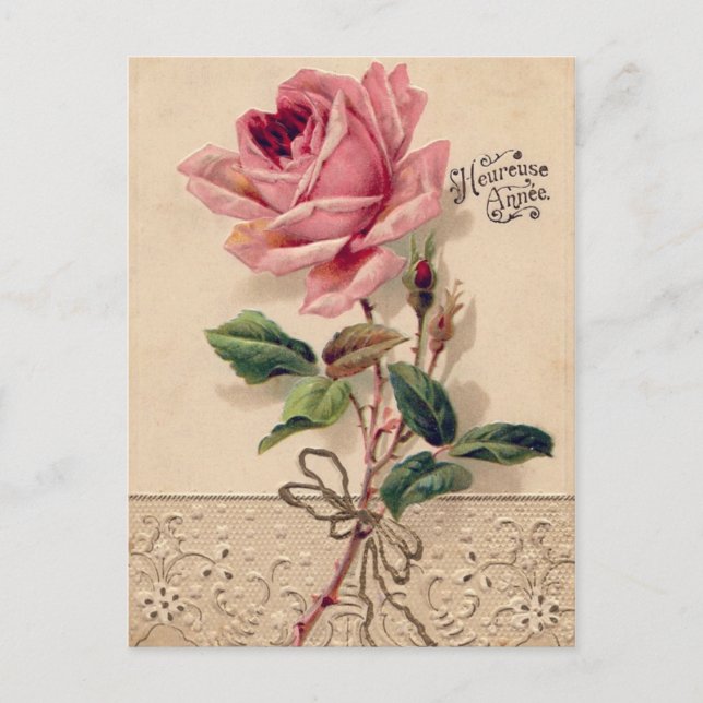 Vintage Rose Postcards (Front)
