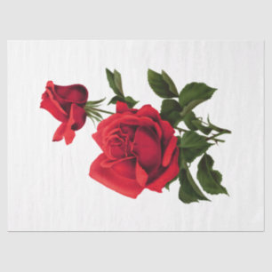 Vintage Rose Series Design 115 Tissue Paper