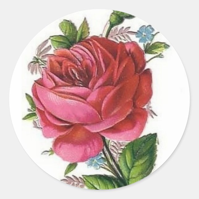 Vintage Rose sticker (Front)