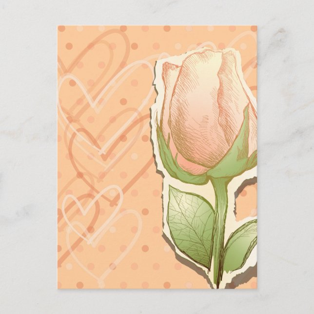 Vintage rosebud, postcard (Front)