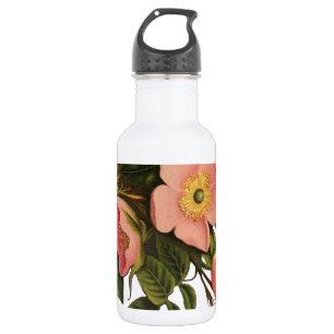 Vintage Roses Beautiful Pink Botanical 532 Ml Water Bottle