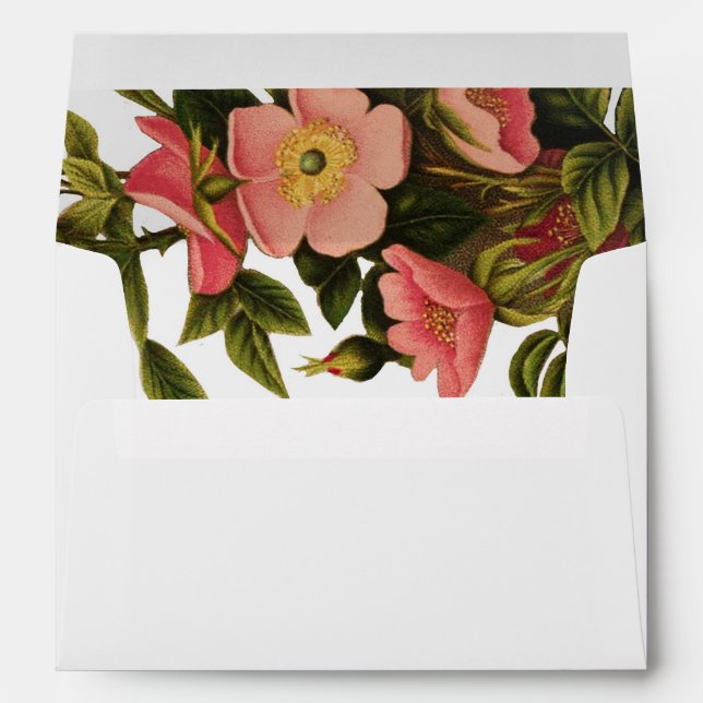 Vintage Roses Beautiful Pink Botanical Envelopes (Back (Bottom))