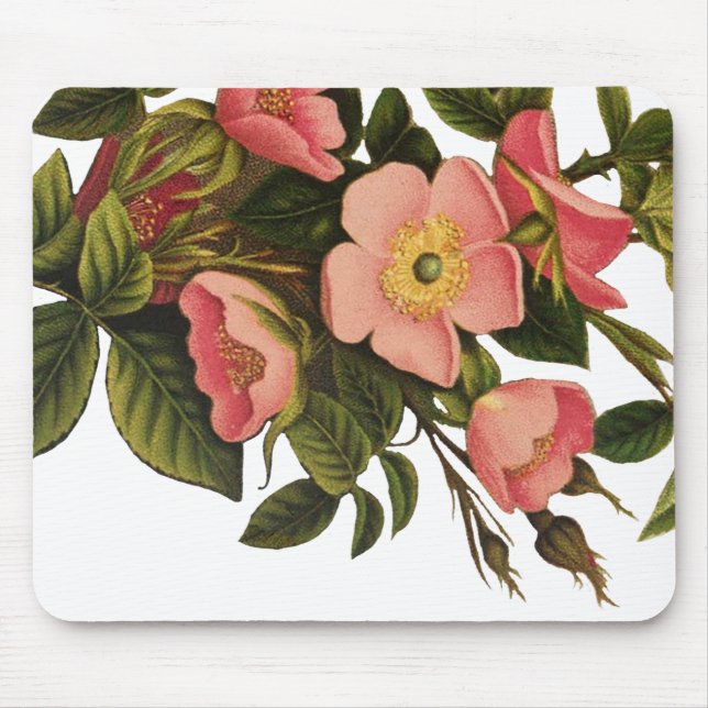 Vintage Roses Beautiful Pink Botanical Mouse Pad (Front)