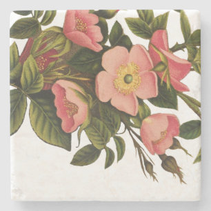 Vintage Roses Beautiful Pink Botanical Stone Coaster