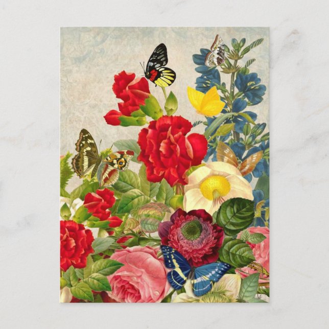 Vintage Roses Flower Butterfly Painting Postcard (Front)
