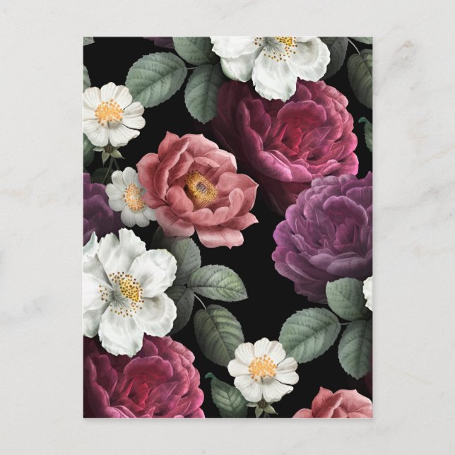 Vintage Roses Illustration Art Postcard (Front)