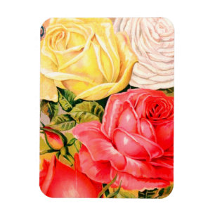 Vintage Roses Magnet