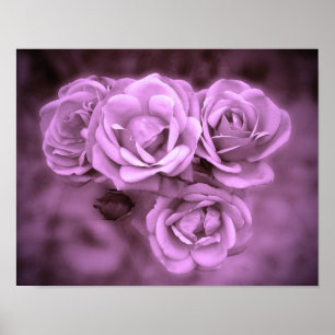 Vintage Roses Purple Poster