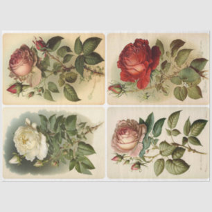 Vintage Roses Tissue Paper