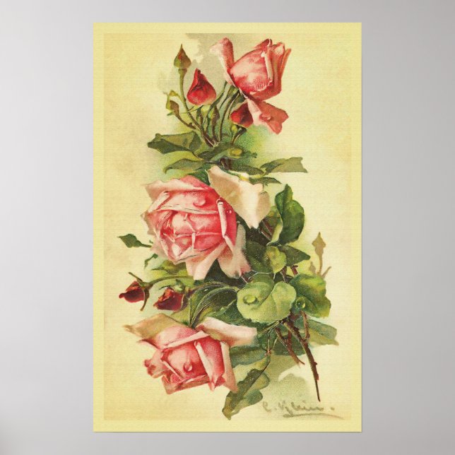 Vintage Roses with Dew Drops Poster (Front)