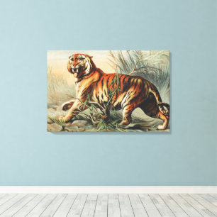 Vintage Royal Bengal Tiger Naturalist Art Print