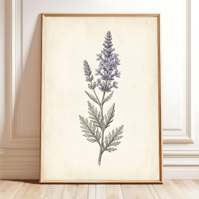Vintage Russian Sage Botanical Canvas Poster (Creator Uploaded)
