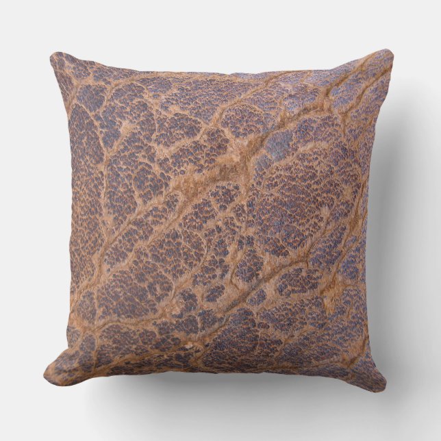 Vintage rustic brown cracked leather background cushion (Front)