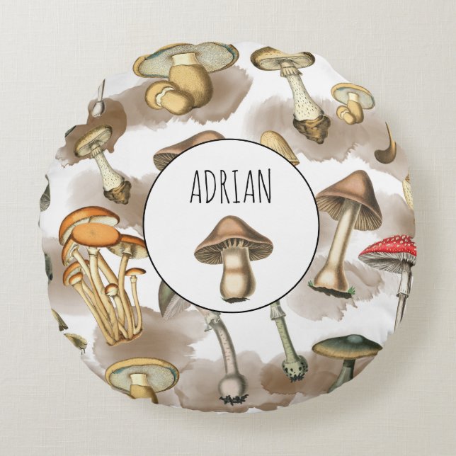 Vintage Rustic Forest Mushrooms Round Cushion (Front)