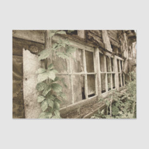 Vintage Rustic Old Wood Barn Windows Tissue Paper