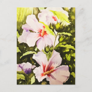 Vintage Rustic White Floral Greenery Watercolor Holiday Postcard