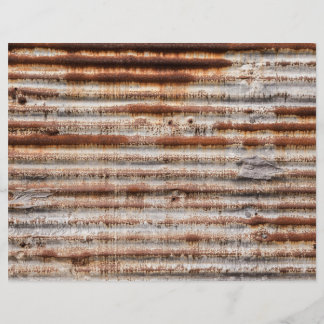 Vintage Rusty Metal Flyer