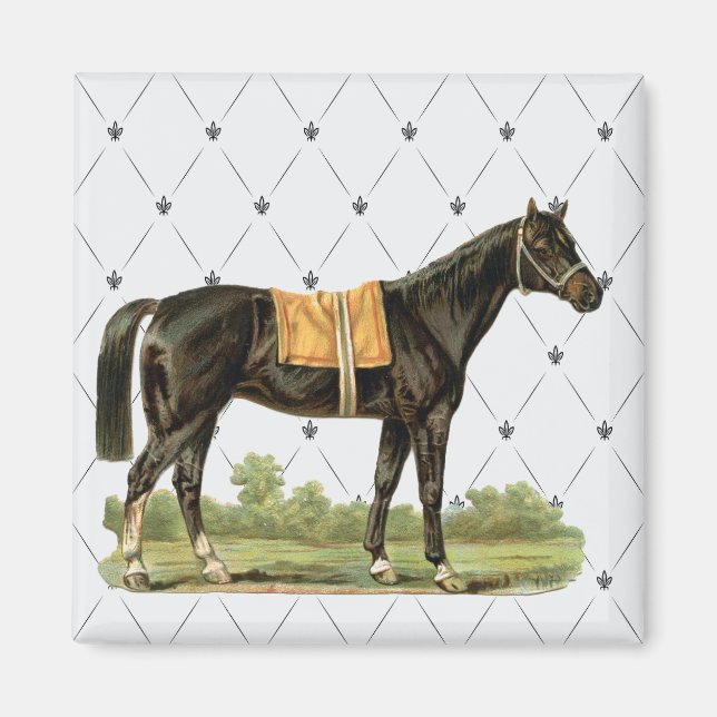 Vintage Saddle Horse Magnet (Front)