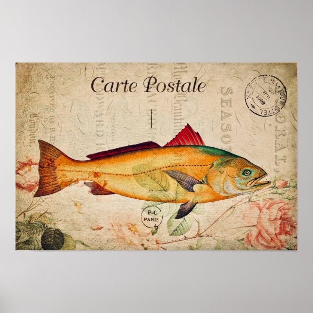 Vintage Salmon Fish French Floral Illustration Poster (Front)