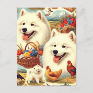 Vintage Samoyed Dog Illustration Postcard