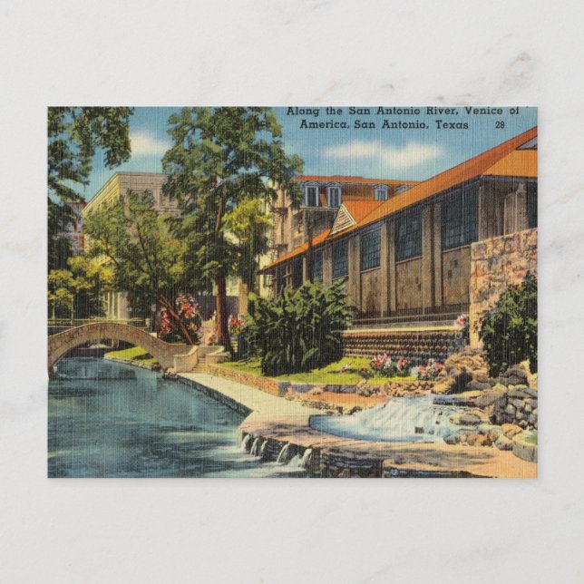 Vintage San Antonio, Texas Postcard (Front)