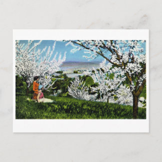 Vintage Santa Clara Valley Postcard