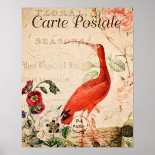 Vintage Scarlet Ibis Bird French Floral Poster
