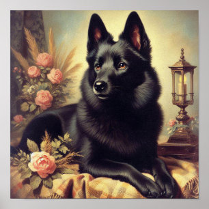 Vintage Schipperke Dog Painting Poster