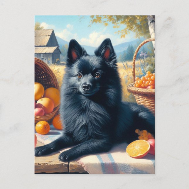 Vintage Schipperke Puppy Painting Postcard (Front)