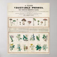 Vintage School Chart for Homeschooling