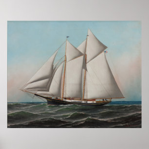 Vintage Schooner Sailboat Illustration (1887) Poster