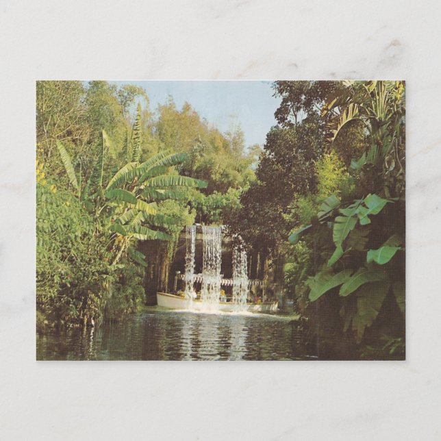 Vintage Schweitzer Falls Postcard (Front)