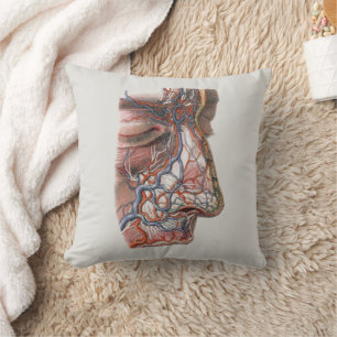 Vintage Science Human Anatomy, Face with Nose Cushion